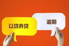 沿河贷款清欠服务